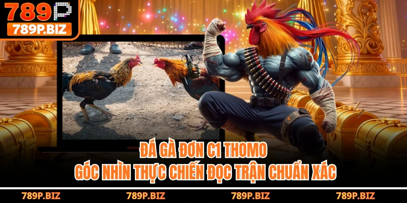 Đá Gà Đơn C1 Thomo - Góc Nhìn Thực Chiến Đọc Trận Chuẩn Xác Từ 789P