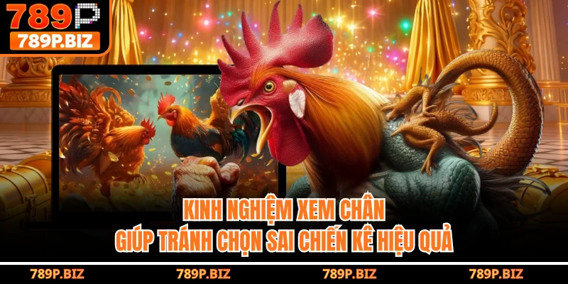 Kinh nghiệm xem chân giúp tránh chọn sai chiến kê hiệu quả